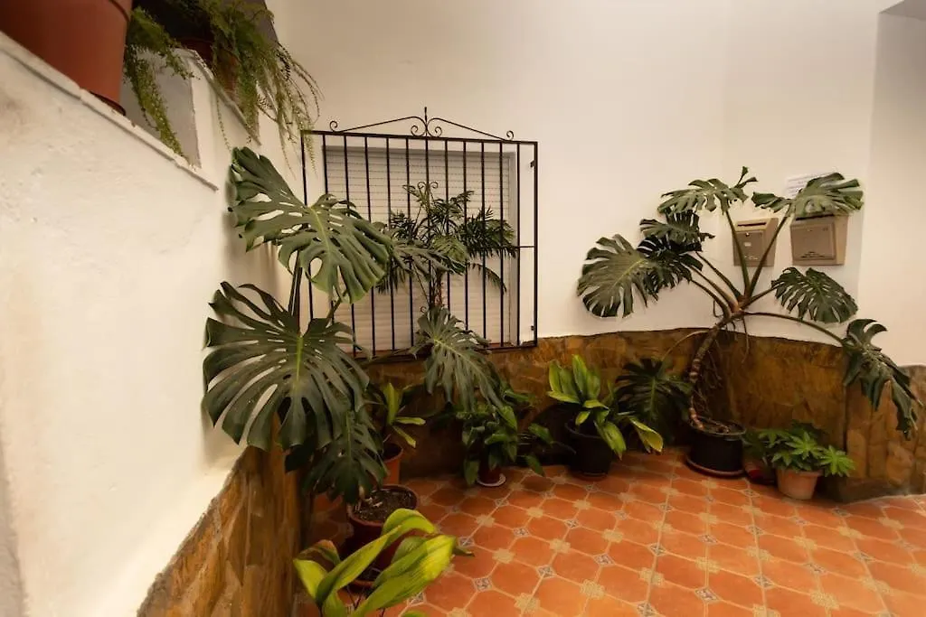 Precioso Piso De 3 Dormitorios, Cocina Y 1 Bano Cómpeta Appartement